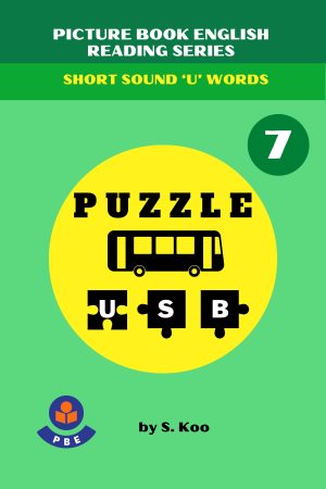 7. PUZZLE USB